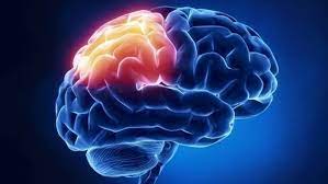 Ini 6 tanda serius, kena cepat jumpa doktor. 10 Tanda Tanda Kanser Otak Yang Anda Wajib Tahu Bidadari My