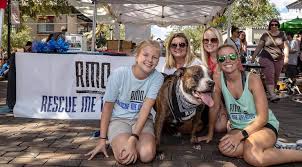 Poodle & pooch rescue of florida. Rescue Me Orlando Shelter Dogs Inc Home Facebook