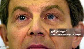 320 Sean Harlow Stock Photos, High-Res Pictures, and Images