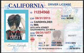 I Will Design Or Edit Driver License Id Cards Ssn Card Utility Bills Bank Statement Electricity Bill Fak Drivers License Drivers Permit Birth Certificate