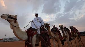 It was these animals that allowed the king's army to move across the scorching hot desert and conquer new lands. World S Largest Camel Festival Wraps Up In Saudi Arabia Cgtn