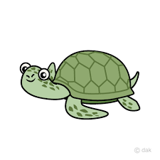 Sea Turtle Cartoon Png Transparent Sea T 245637 Png Images Pngio Turtle cartoon drawing, turtle png. sea turtle cartoon png transparent sea