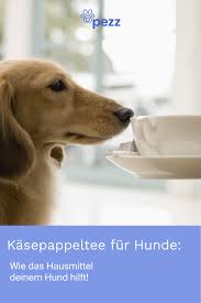 Kasepappeltee Das Hausmittel Fur Alle Falle Hausmittel Hunde Naturliche Hausmittel