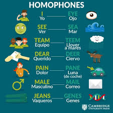 Homophones English Language Learning English Vocabulary English Phrases