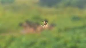 Dalam ritual aliran hakekok itu, belasan warga terlihat mandi bersama di sebuah penampungan air pada kamis (11/3/2021) pagi. Gi6vkukjut7u8m