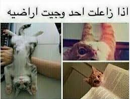 هههههه لزكه Funny Text Memes Funny Dude Funny Qoutes