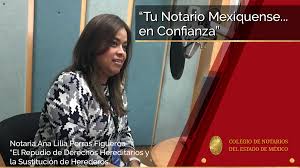 Notaría Publica 91 Estado de México M en D Ana Lilia Porras Figueroa
