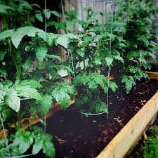 ada opara's favorites