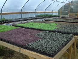 My Account Back Yard Riches Aquaponics Backyard Aquaponics Aquaponics System