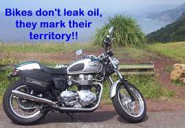 Pin On Quotes Funnies