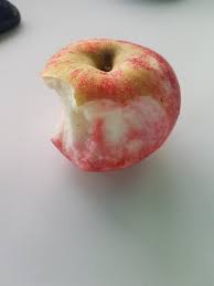 Check spelling or type a new query. The Apples From My Garden Are Blushing On The Inside Mildlyinteresting