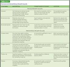 Adventitious Breath Sounds Nurse Life Nursing Tips Life