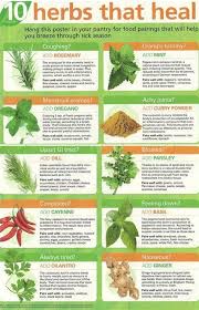 Herbs Table Chart Pdf Herbs Medicinal Herbs Healing Herbs