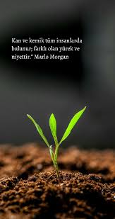 Guzel Sozler Fotograf Fotograf Duvari Ilham Veren Fotograflar