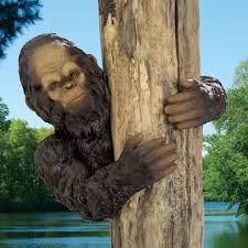 Gifts Bigfoot Tree Hugger Tree Hugger Outdoor Trees Bigfoot Pictures