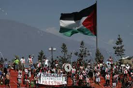 Barnechea vs palestino team performances, predictions and head to head team stats for goals, first half goals, corners, cards. El Sentido Mensaje De Palestina A Palestino Somos La Unica Nacion Con Dos Equipos Nacionales