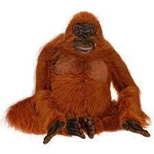 Hansa Life Size Orangutan 38 Inch Brown In 2021 Orangutan Monkey Stuffed Animal Animal Facts