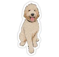 Golden Doodle Sticker Goldendoodle Dog Stickers Animal Stickers