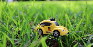 Truly nolen of houston provides guaranteed termite and pest control services. Truly Nolen Pest Termite Control 770 Tamiami Trl Port Charlotte Fl Pest Control Mapquest