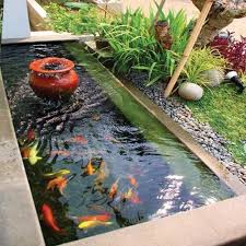 Tukang Kolam Ikan Koi Tukangtamanku Com Di 2020 Kolam Ikan Kolam Tanaman Hijau