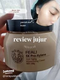 48 ide Feli teratas di 2025