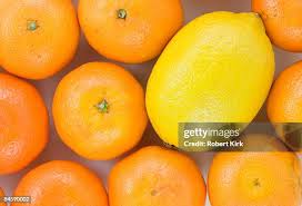 431 Robert Lemon Stock Photos, High-Res Pictures, and Images