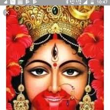 Top Wall Putty Distributors in Nadia