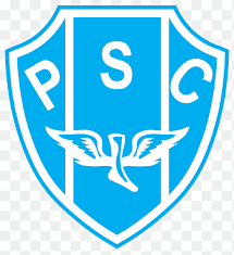 Both botafogo and coritiba were relegated from brasileirão serie a last season and will be looking to return to the top flight at the first time of asking. Sport Club Corinthians Paulista Sport Club Do Recife Corinthian F C Copa Do Brasil Campeonato Brasileiro Serie A Sport Logo Png Pngegg