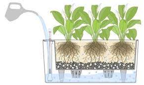 Self Watering Planters By Lechuza Self Watering Planter Self Watering Self Watering Pots