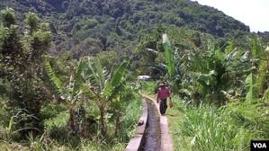 Sistem pengairan subak telah dipraktekkan oleh masyarakat bali sejak ratusan tahun silam. Unesco Akui Sistem Pengairan Subak Sebagai Warisan Budaya Dunia