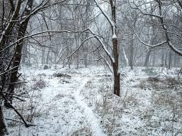 Joe Vale (@joevalephotography) • Instagram photos and videos