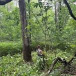Habitat Restoration at Fraser Preserve