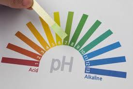 Totul Despre Ph Ul Organismului Cabinet Medical Endocrinologie Diabet Craiova Cristina Calangiu