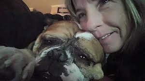 Apsher's English Bulldogs