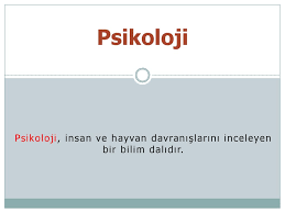 Kisisel Gelisim Notlari Ppt Indir