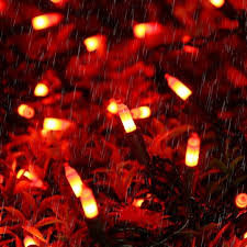The lights go from orange to purple tips and vice versa to give off a fun glow when strung up with your favorite halloween decor. 100 Count Incandescent Mini String Lights Orange Ul Certified