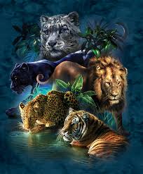 ✔great ideal gift for children birthday presents, graduation gift or other holiday gift. Big Cat Prowess 1000 Pieces Sunsout Puzzle Warehouse