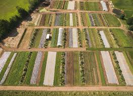 The Market Gardener Fortier Farm Layout Vegetable Garden Planner Organic Farming
