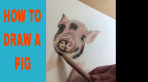 In this art video i show you how to draw a cute realistic proportioned pig. How To Draw A Realistic Pig Using Coloured Pencils Youtube
