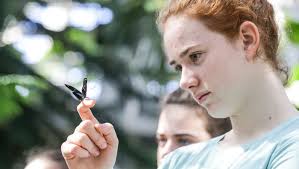 Butterfly Kaleidoscope returns to the Indianapolis Zoo
