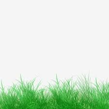 Decorative Green Space Fresh Green Grass Grassland Grass Clipart Grass Green Grass Png Transparent Clipart Image And Psd File For Free Download Green Grass Background Grass Clipart Green Grass