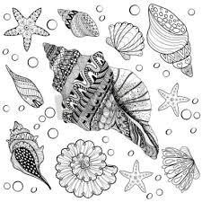 Malvorlagen muscheln / merkmale der klasse sind eine aus zwei kalkigen klap. Vector Set Shells Zentangle Seeshell Fur Erwachsene Anti Stress Leinwandbilder Bilder Farben Hand Gezeichnet Mandala Myloview De