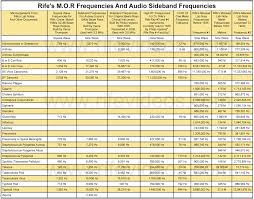 Rife Machine Therapy For Lyme Disease Lyme Disease A