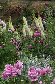 Mottisfont Abbey Hampshire Beautiful Gardens Cottage Garden Dream Garden