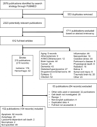 the impact of endothelial cell death in the brain and its