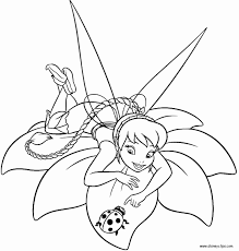 The top and best coloring page templates are also available with easy editing and coloring options if you want to get the final thing done online and just take. Tinkle Bell Coloring Pages Elegant Printable Tinkerbell Coloring Pages In 2021 Fairy Coloring Pages Tinkerbell Coloring Pages Fairy Coloring