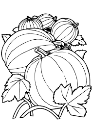 Pumpkin With Leaves Coloring Page Pumpkin Coloring Pages Fall Coloring Pages Halloween Coloring Pages
