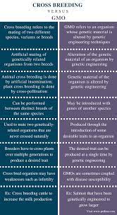 Difference Between Cross Breeding And Gmo Definition Mechanism Importance Differences