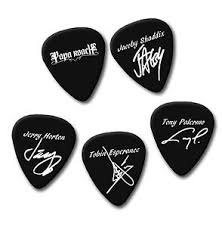Остроконечный инструмент 2) ледоруб, штычок ледоруба (альпинизм) 2. Papa Roach Printed Signature Guitar Pick Plectrum Picks Picks Set 5 Jacoby Ebay