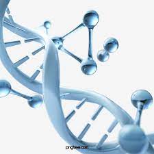 3d Blue Dna Helix Sequence Element Science Clipart 3d Dna Png Transparent Clipart Image And Psd File For Free Download Dna Helix Dna Helix